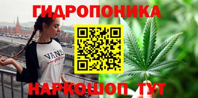 дмт Дубна