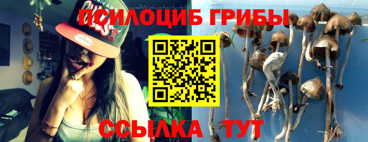 Галлюциногенные грибы ЛСД  Вход с VPN  Новоалтайск 