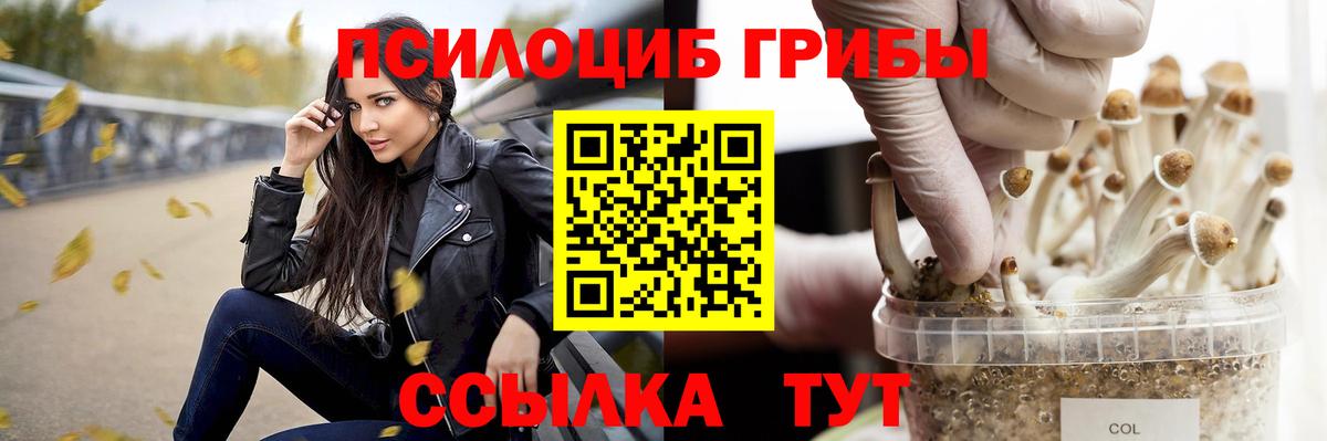 Псилоцибиновые грибы Cubensis Новоалтайск